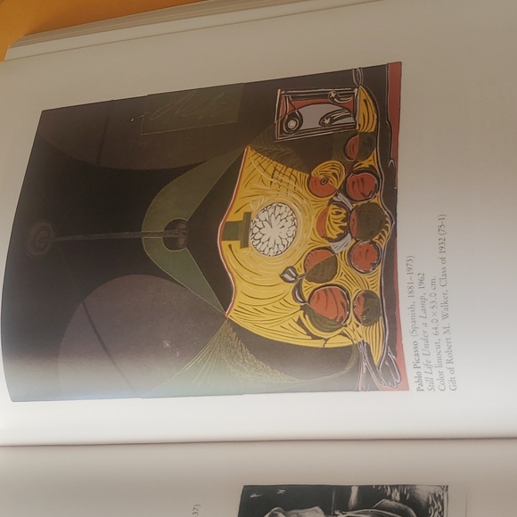 The Art Museum Princeton University Hardcover Book - Picture 6 of 16